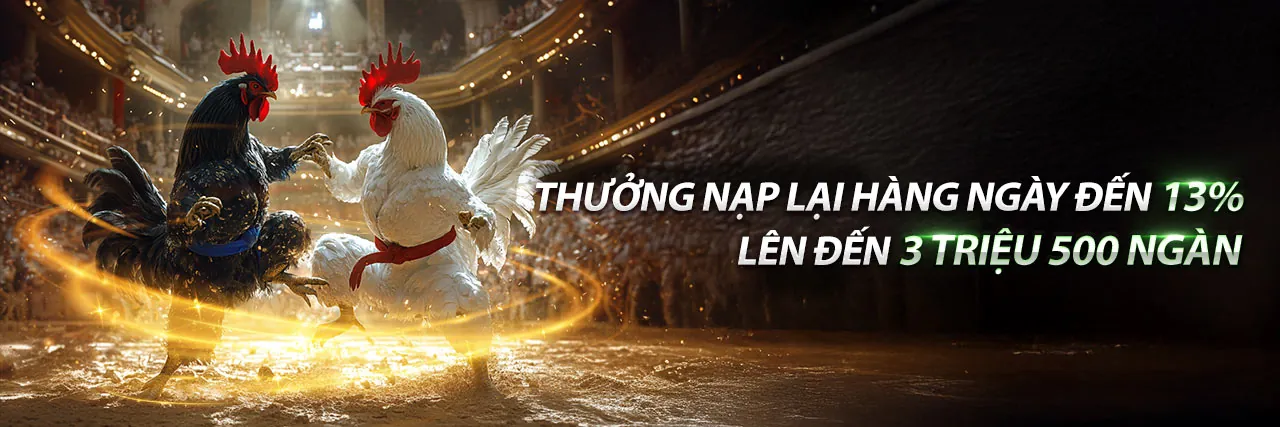 Quy trình tham gia và thăng cấp VIP New88bi